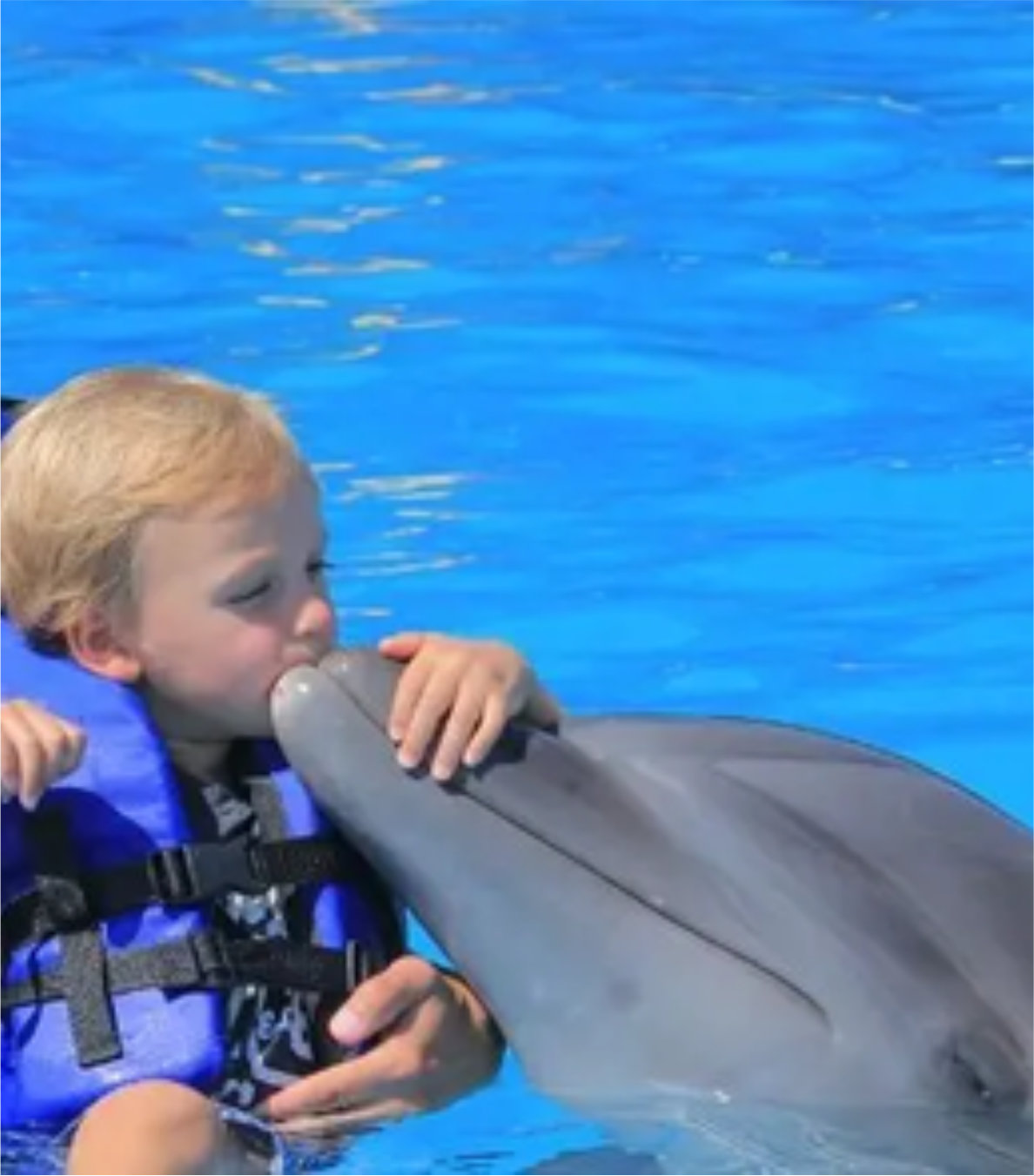 Encuentro con Delfines