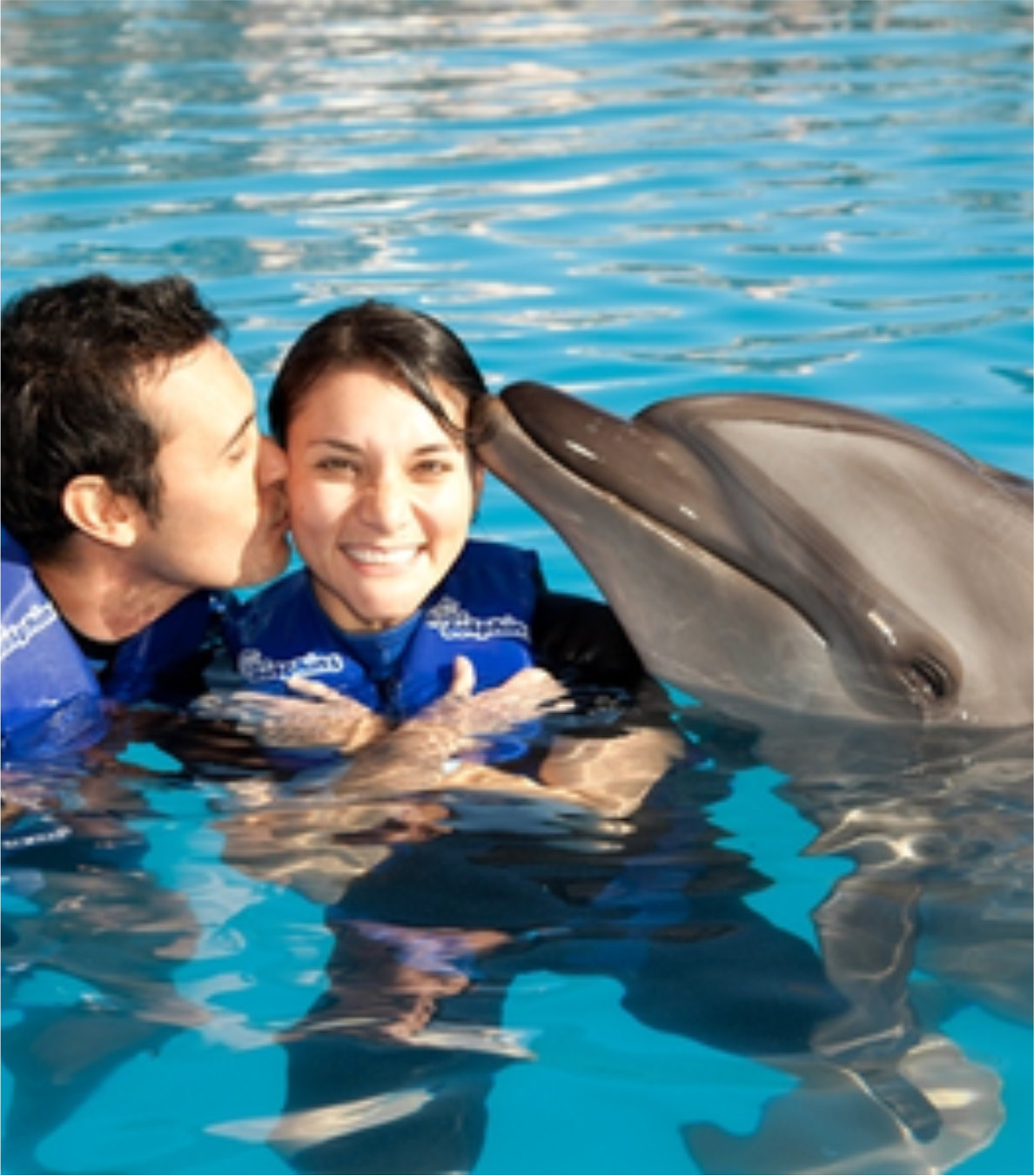 Experiencia con Delfines