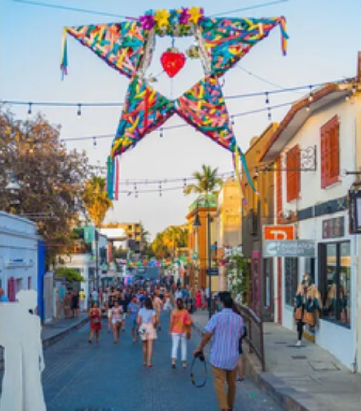 City Tour San José del Cabo