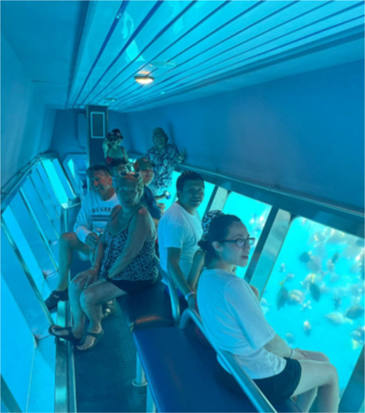 Paseos al Arco / Glass Boat