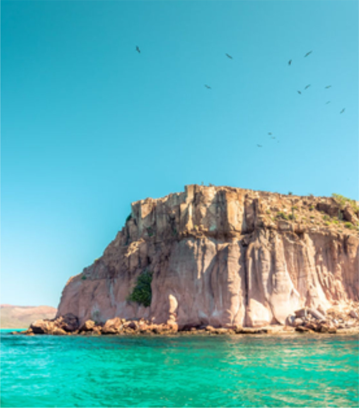 Tour a la Isla del Espíritu Santo