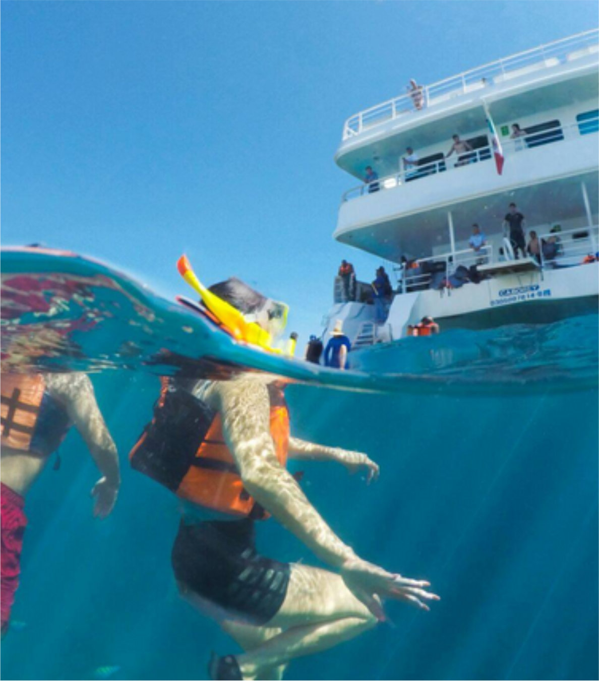 Cabo Rey Tour de Snorkel