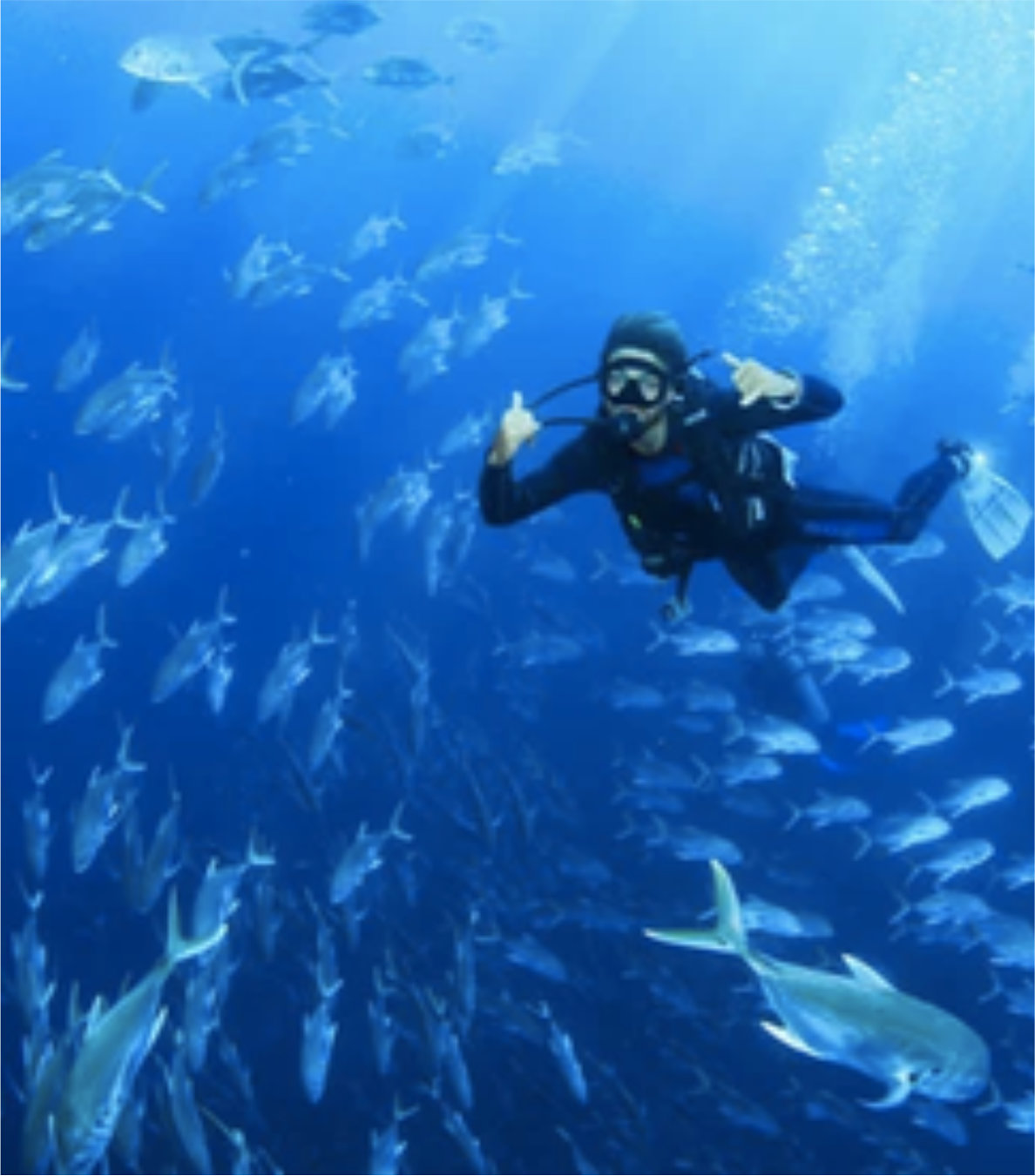 Cabo Pulmo Buceo