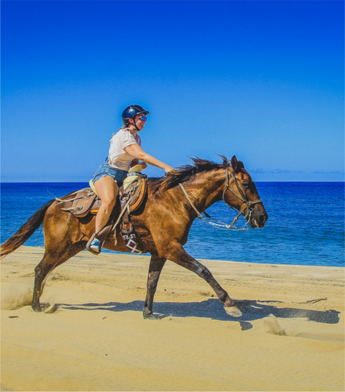Paseo en caballo